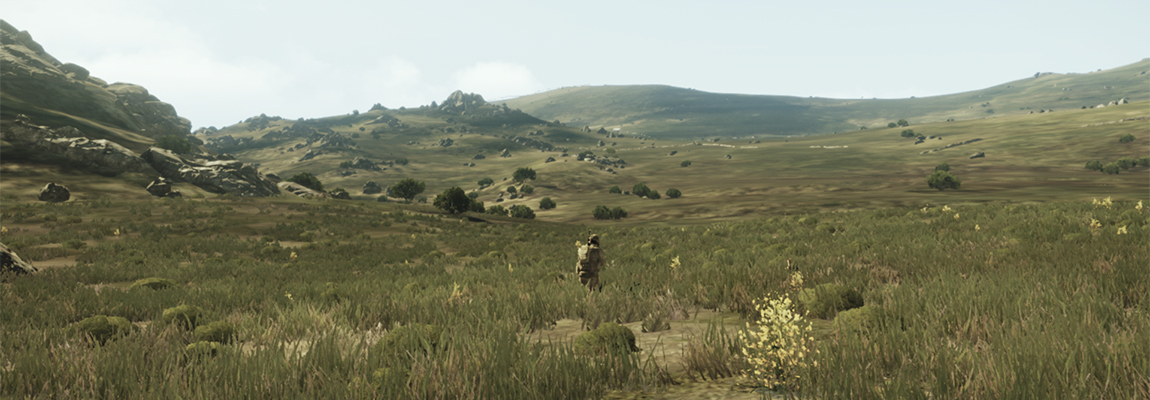 About Comrades in Arms